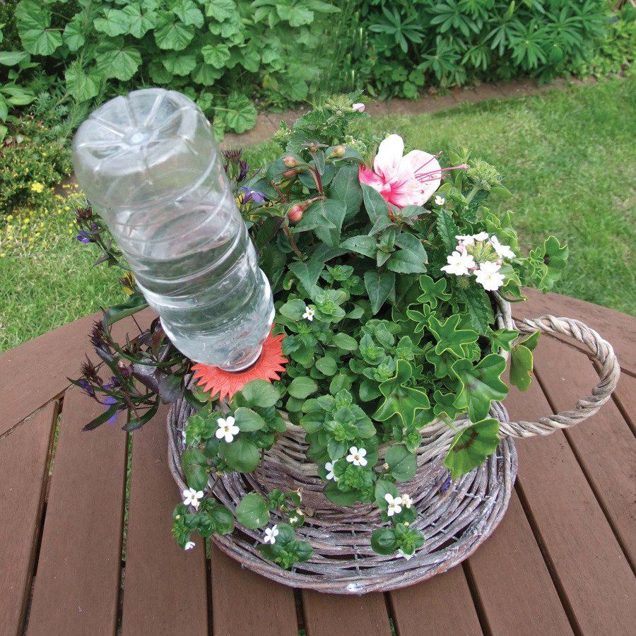 Aqua Save Watering Cones Pack of 6 5060247070933